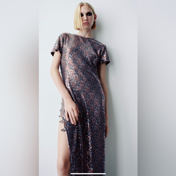 Zara Dress - Picture 1 of 7